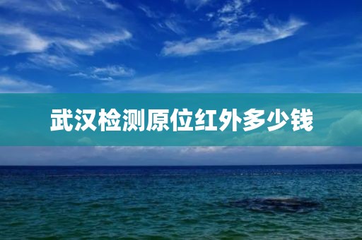 武汉检测原位红外多少钱