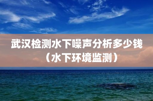 武汉检测水下噪声分析多少钱（水下环境监测）